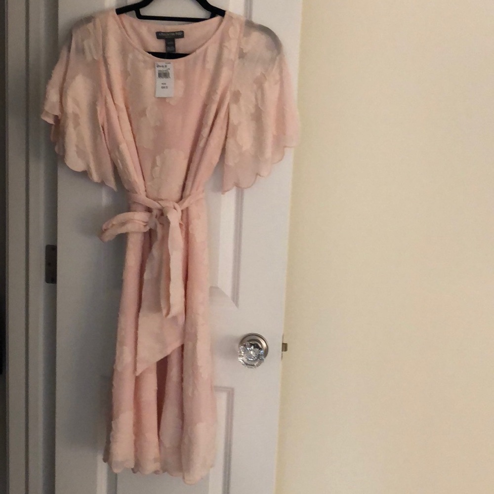 Pea in the Pod Dress NWT